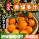 正宗广西融安脆蜜金桔金柑第三代自有果园现摘现发