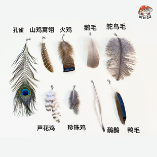 猫玩具逗猫棒猫咪丰容玩具天然羽毛孔雀鸵鸟鸸鹋火鸡鸡毛鸭毛自嗨