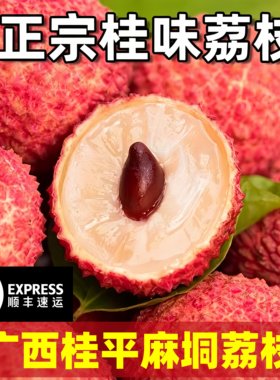 正宗广西桂味荔枝新鲜现摘发货