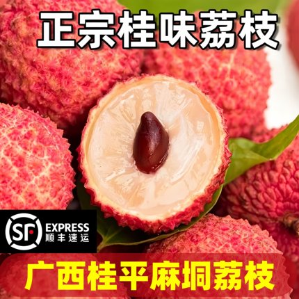 麻垌荔枝桂味荔枝正宗当季头茬新鲜水果现摘荔枝大果5斤广西