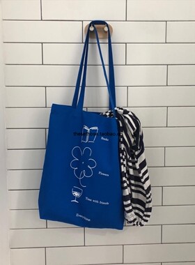 韩国ins小众设计周边蓝色帆布包袋单肩包青年休闲托特包拉链包