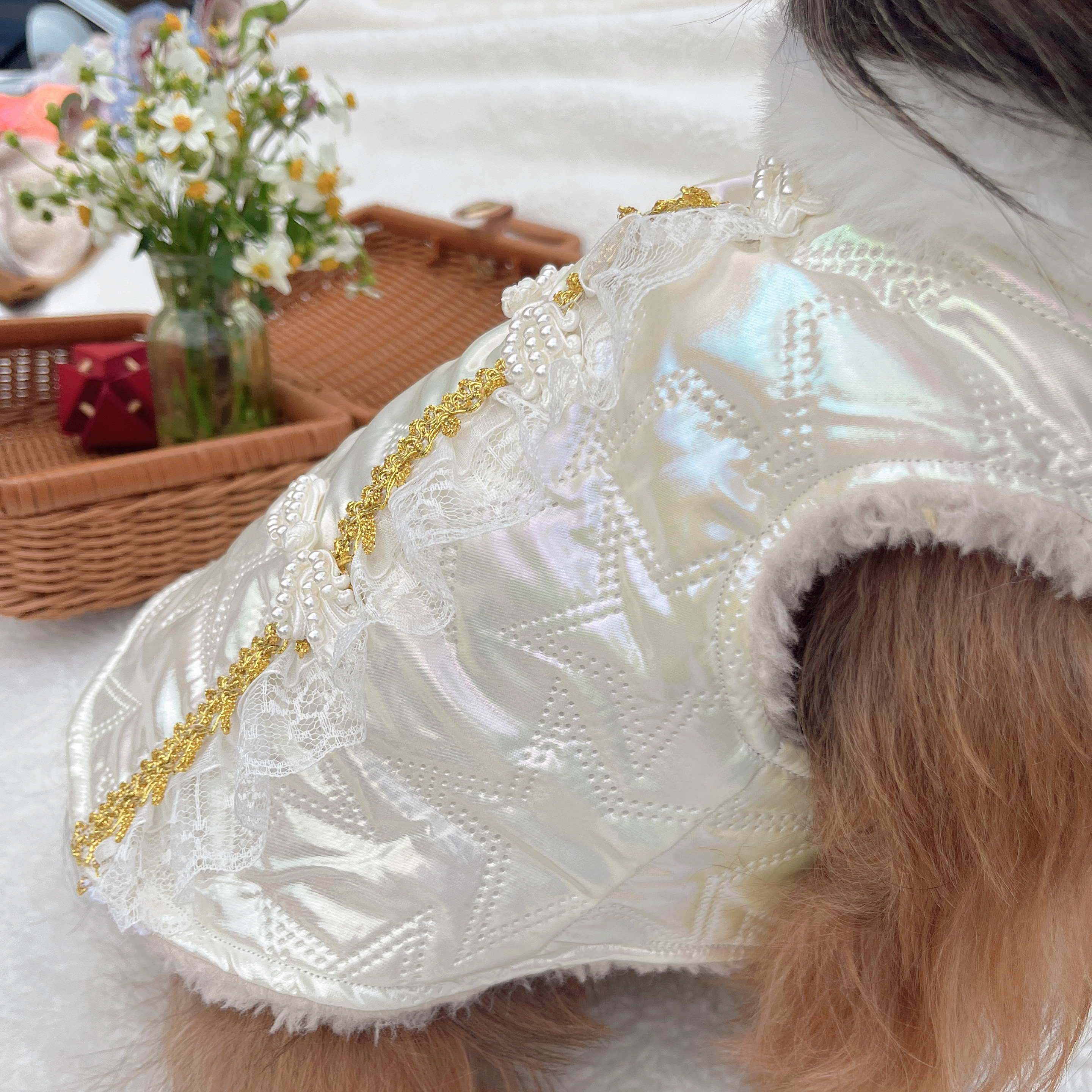 小狗马甲秋冬加绒保暖衣服小型犬