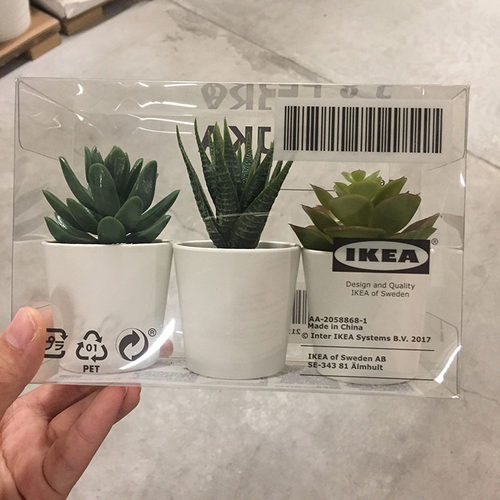 宜家盆栽植物素材模板 宜家盆栽植物图片下载 小麦优选