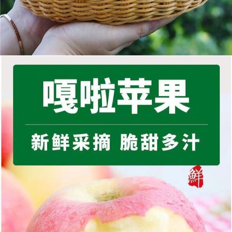 陕西嘎啦苹果橙