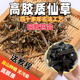 仙草干烧仙草原材料全叶仙草干烧仙草新鲜草干纯叶子纯叶黑凉粉草