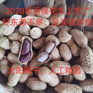 梅州大埔特产百侯花生带壳细花农家咸润花生新货太阳晒干500g散装