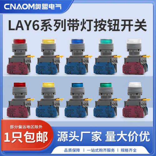 LAY6系列带灯按钮开关