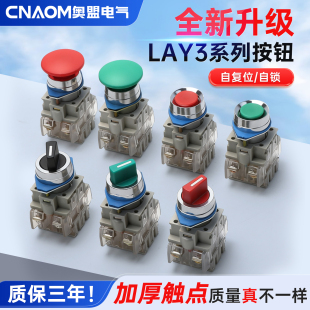 平钮按钮开关LAY3 蘑菇头红绿色旋钮急停22mm 11自复位点动按压式