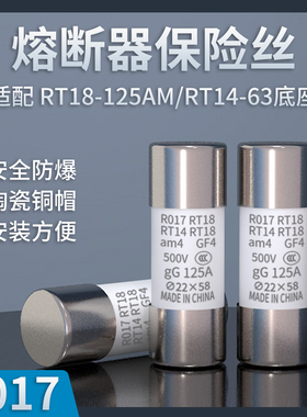 熔断器厂 R017/RO17 100A 陶瓷保险芯 32~125A