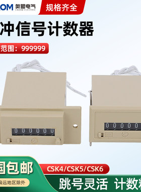 佰乐计数器CSK6厂家直销