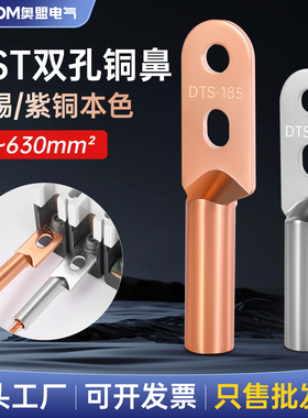 双孔铜鼻子DTS紫铜镀锡双眼铜线耳铜接头接线端子16/25/35/507095