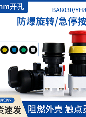 按钮开关带灯按钮BA8030自复位带灯按钮220V380V