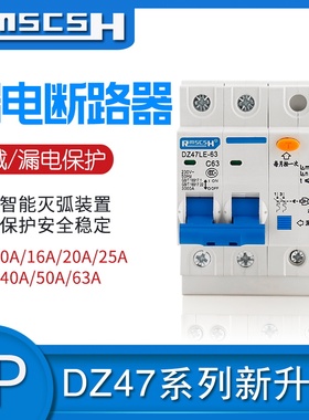 DZ47LE断路器 漏电空气开关 带漏电保护器 2P 6A-63A 工厂直销