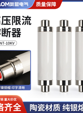 高压限流熔断器XRNT10-12KV10A20A40A50A63安80A100A箱变保险管丝