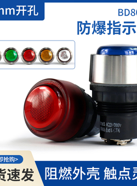 BD8030电源指示灯信号灯开孔30MM 指示灯220V
