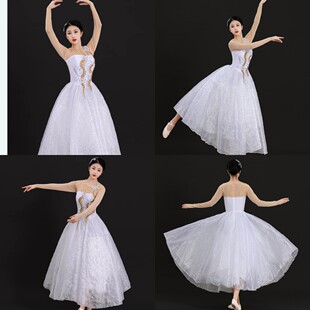 出租表演服开场舞蓬蓬连衣伴舞中长裙现代舞蹈演出服装