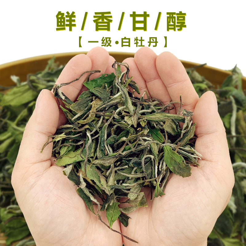 白牡丹茶的功效与作用图片