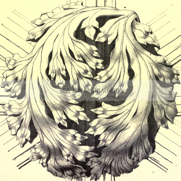 古典哥特式风格英国建筑雕刻装饰植物花纹卷叶纹理图片设计素材