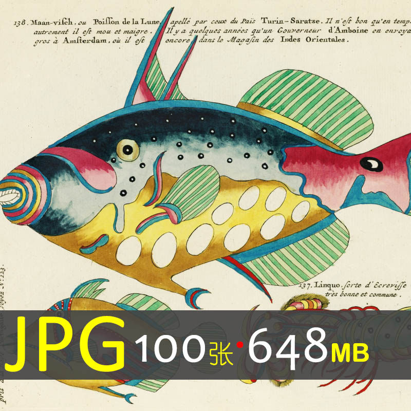 029 复古手绘海洋生物鱼类插设计素材/源文件