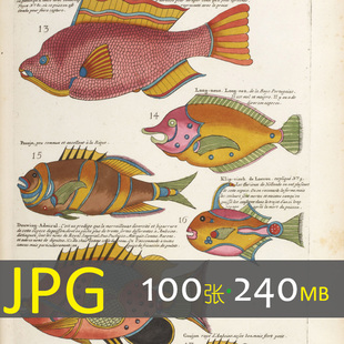 102 彩绘印度洋海洋生物鱼、虾、蟹艺术化插画手帐素材临摹图库