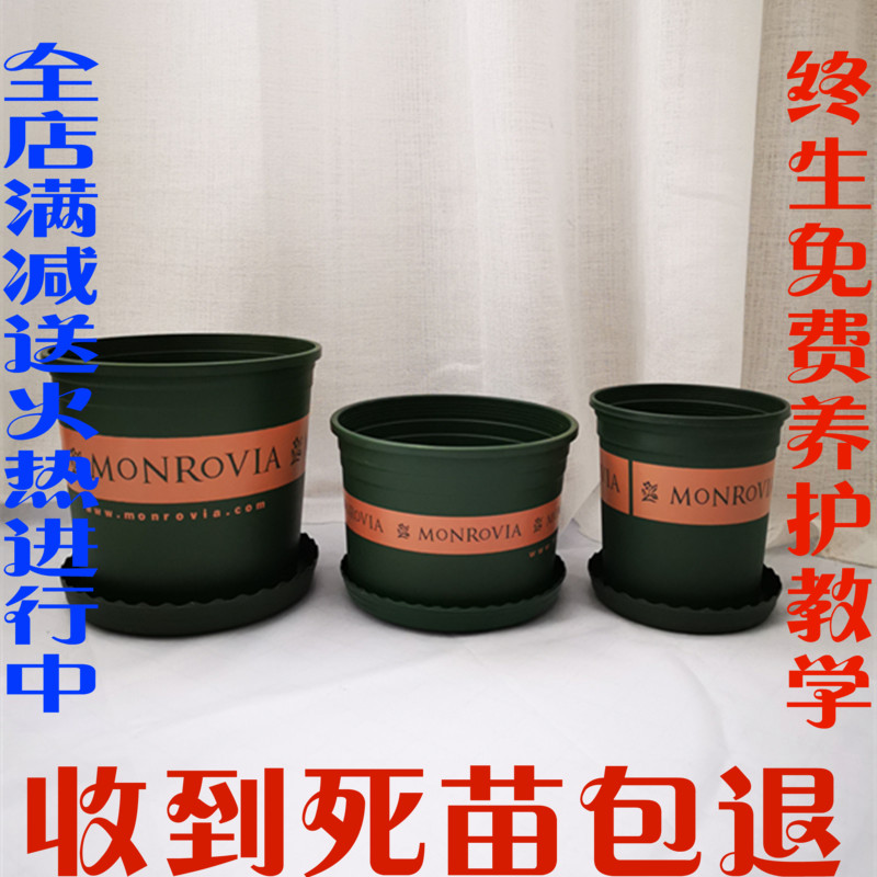 环球加仑盆阳台塑料圆形托盘包邮
