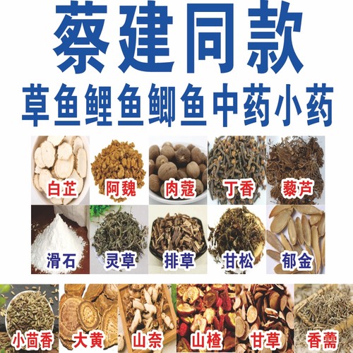 蔡建中草药泡酒钓鱼配方同款饵料窝料鲫鱼鲤鱼野钓黑坑小药添加剂