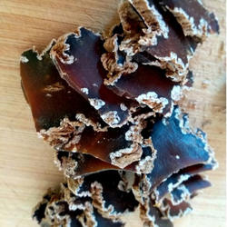 赤峰咸菜疙瘩原味腌制芥菜嘎达500g内蒙张小驴芥菜疙瘩香芥肉