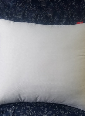靠背内胆芯靠枕芯抱枕内胆芯沙发抱枕芯40x40方枕芯50x50抱枕内胆
