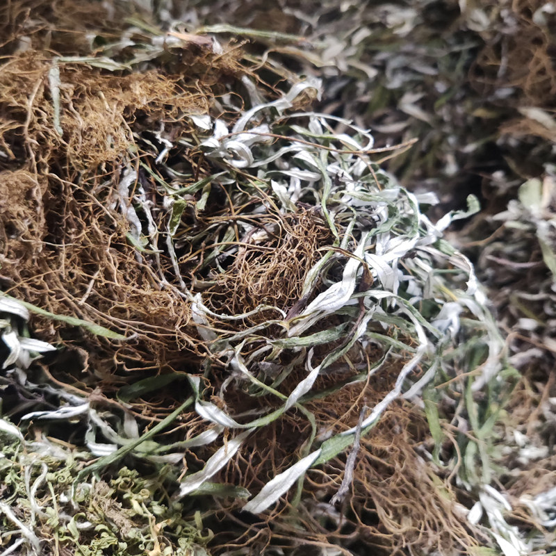 福建周宁天青地白福安叶下白宁德寿宁棉花草福安兄弟草屏南土特产