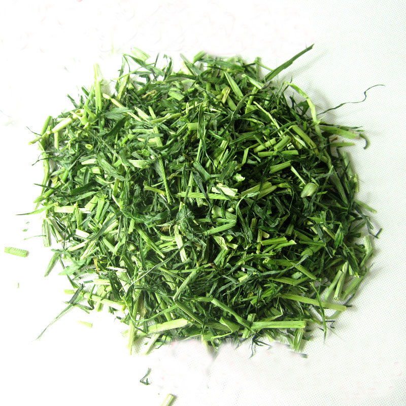 兔子荷兰猪牧草大麦草营养零食草