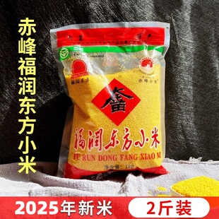 福润东方小米2025新小米内蒙古赤峰天山大金苗岗台小米贡米包邮
