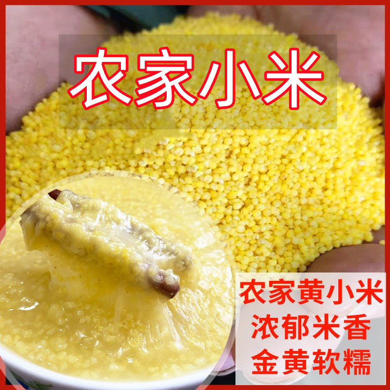 赤峰小米孕妇月子米黄小米