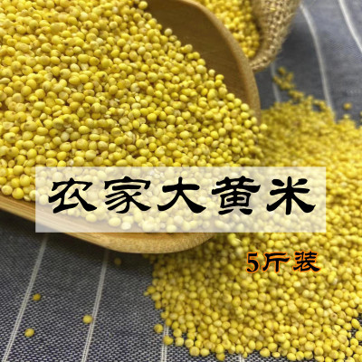 赤峰大黄米黍子米腊八粥