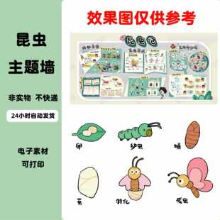 A142幼儿园昆虫主题蝴蝶蜻蜓生长过程自然角蚂蚁王国益虫害虫素材