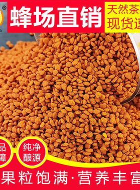 茶花粉可食用蜂场自产