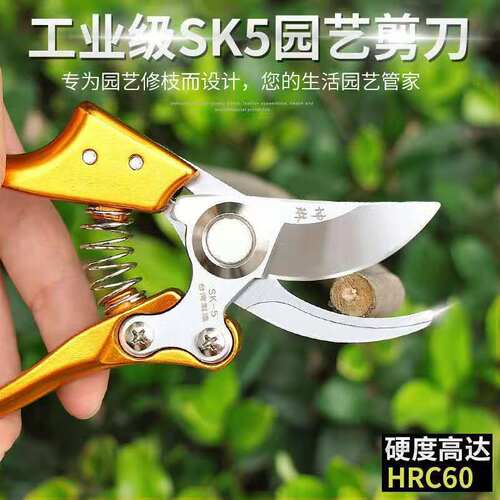 德国进口钢剪树剪子果树剪