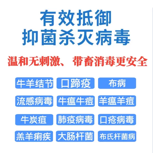 Товары от 秦恰恰恰