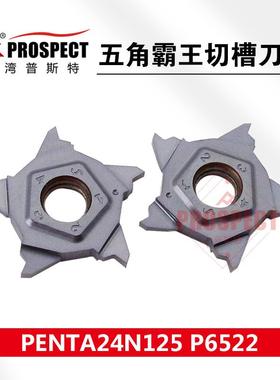 普斯特五角霸王切槽刀片 PENTA24N100/125/150/200 P6522