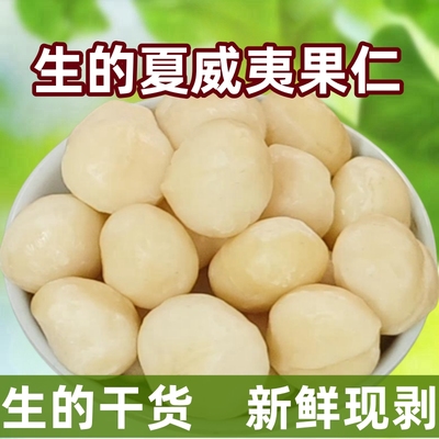 生的夏威夷果仁新鲜干货