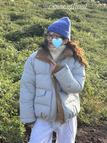 现货PREON工厂自制秋冬保暖撞色立领羽绒服sienne同款鸭绒外套