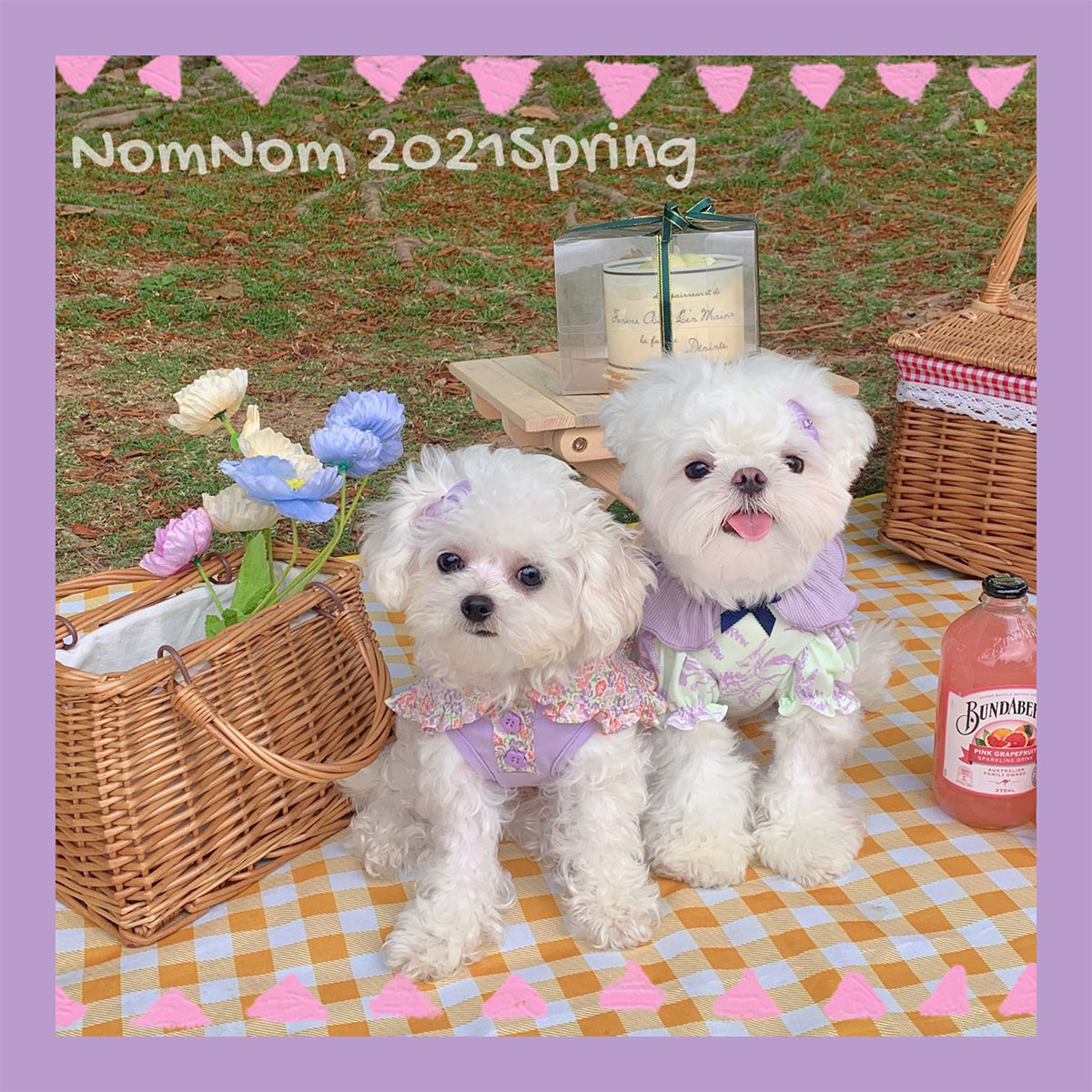 韩国ins宠物背心nomnom猫狗