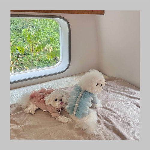 可爱保暖粉嫩NOMNOM猫狗棉毛