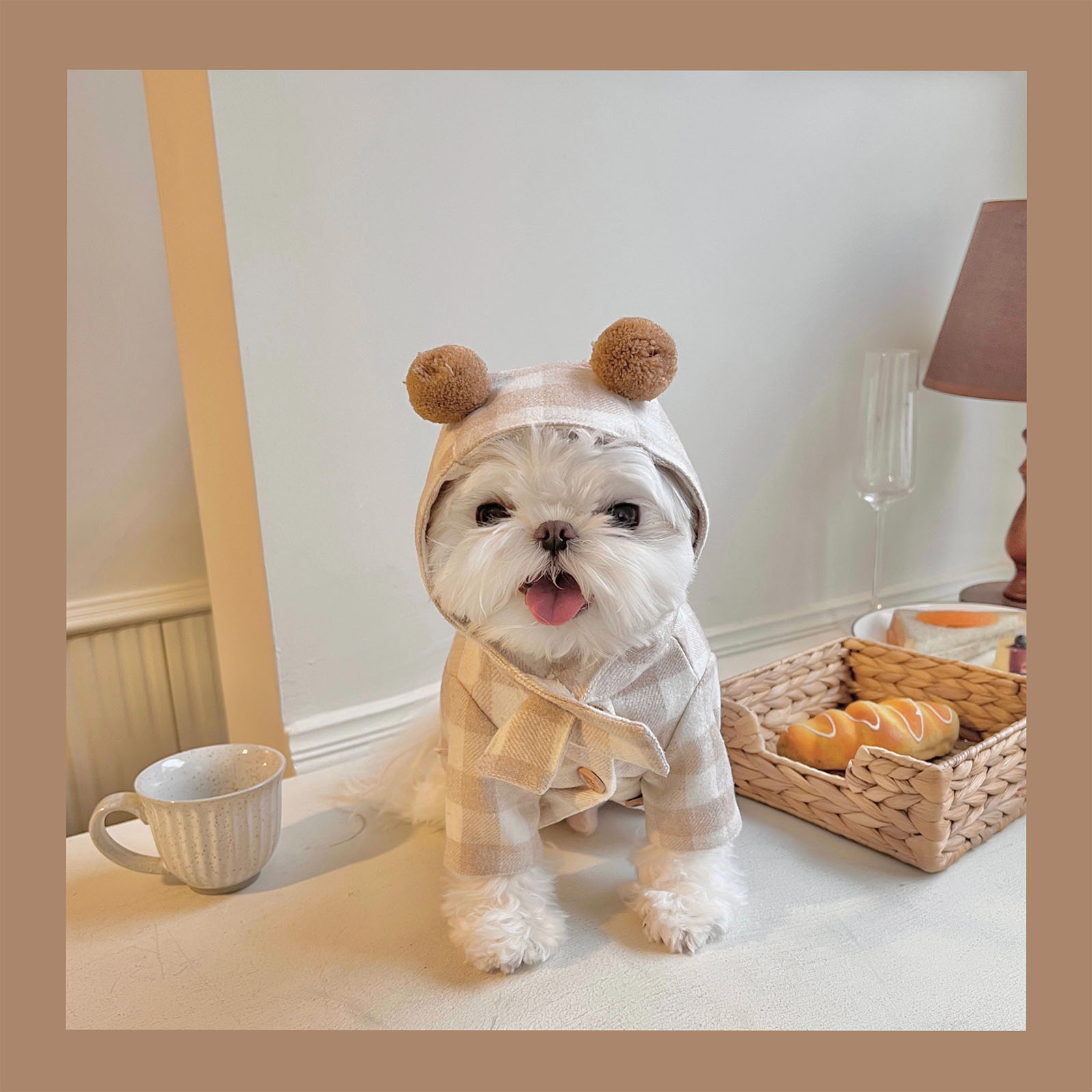 NOMNOM 韩国ins丨小熊格子毛尼大衣丨秋冬猫狗保暖外套胸背牵引