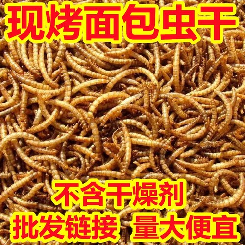 鹦鹉鸟食面包虫干虎皮玄凤鹦鹉饲料面包虫干鸟粮牡丹画眉八哥专用
