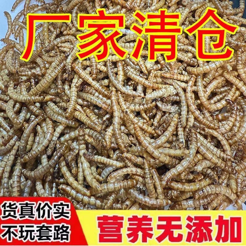 仓鼠粮食面包虫干黄粉虫八哥鹩哥零食刺猬饲料龙鱼泸定乌龟鹦鹉鸟
