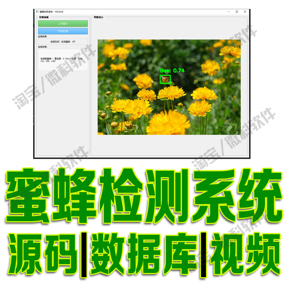蜜蜂检测识别模型系统yolov8摄像头数据挖掘分析PyQt5源码python