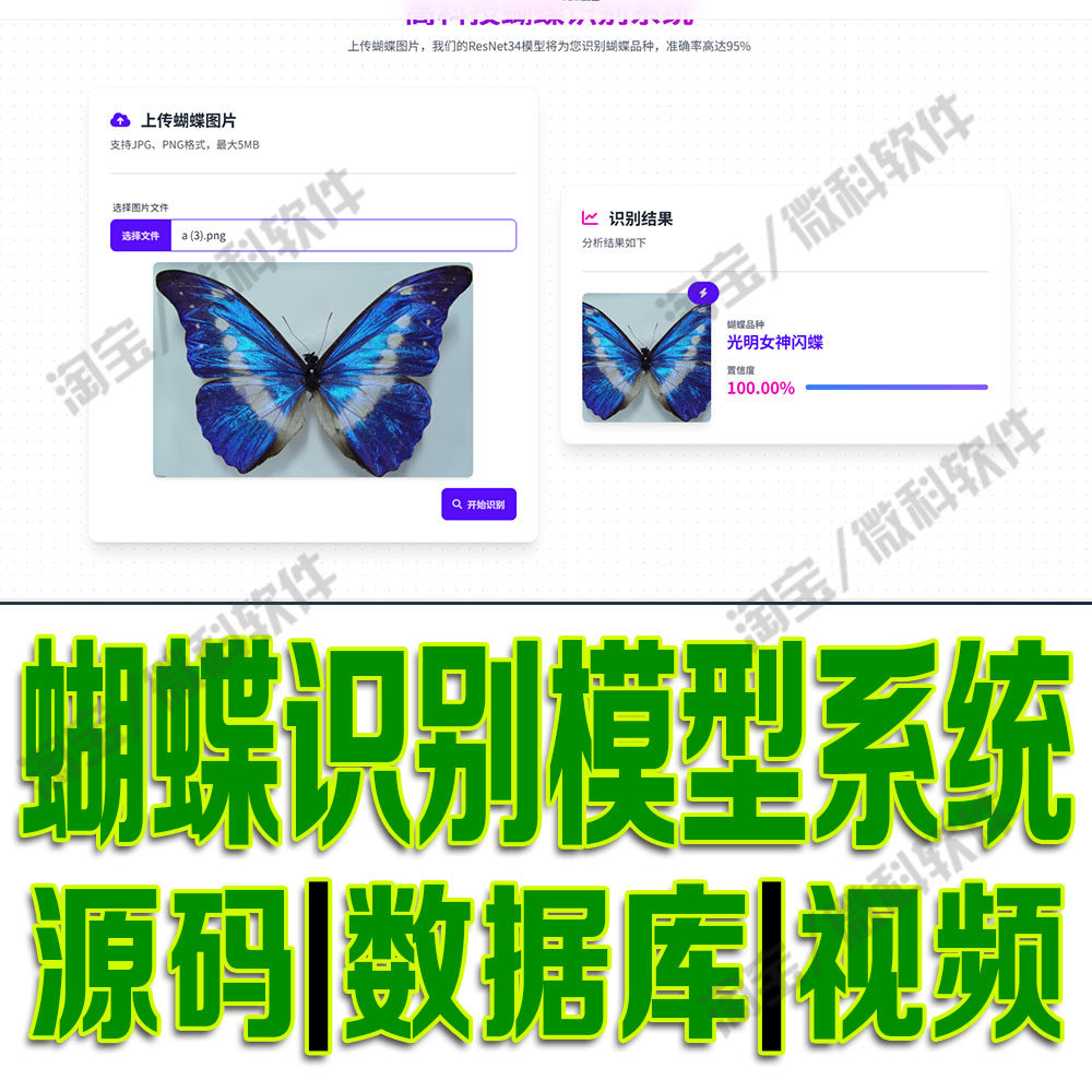 蝴蝶识别模型系统yolov8图鉴数据集分析flask深度学习python源码