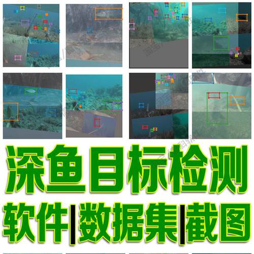 深海鱼类对象目标检测数据集yolo训练深度机器学习自动识别python