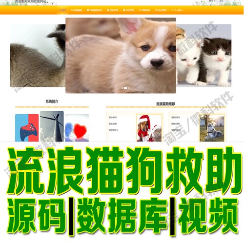 流浪动物救助网站springboot+vue领养救援管理系统Java+MySQL源码