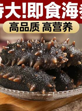 即食海参大个头深海辽刺参单个装
